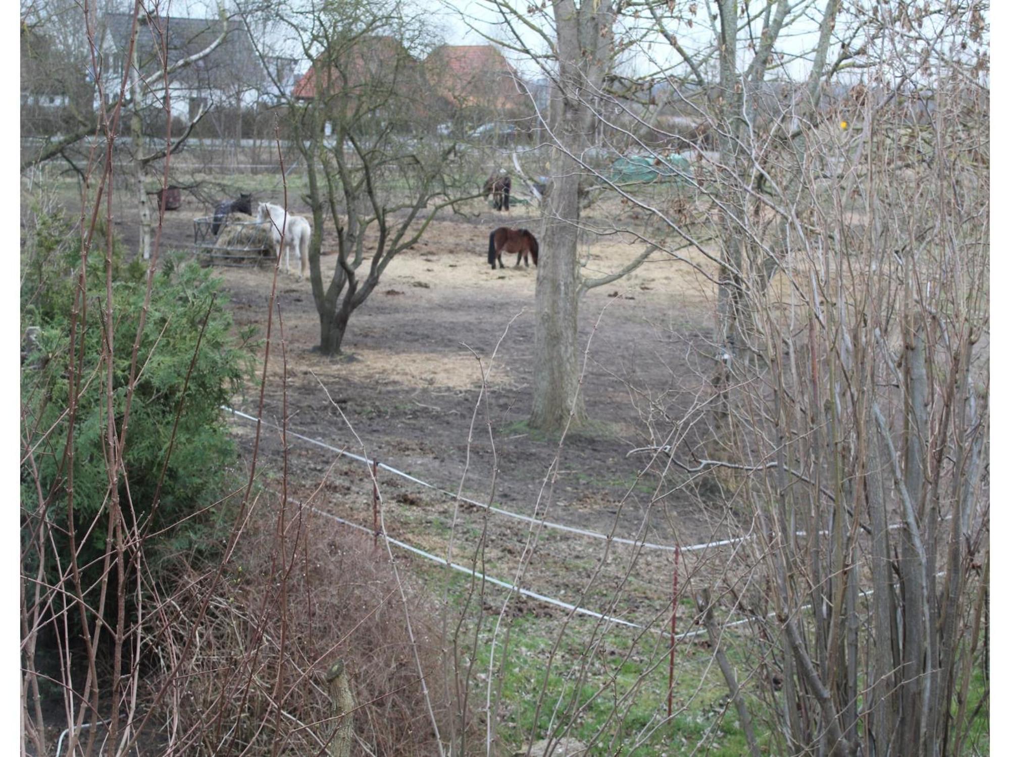 Child Friendly Bungalow In B Rgerende Rethwisch Börgerende-Rethwisch 外观 照片