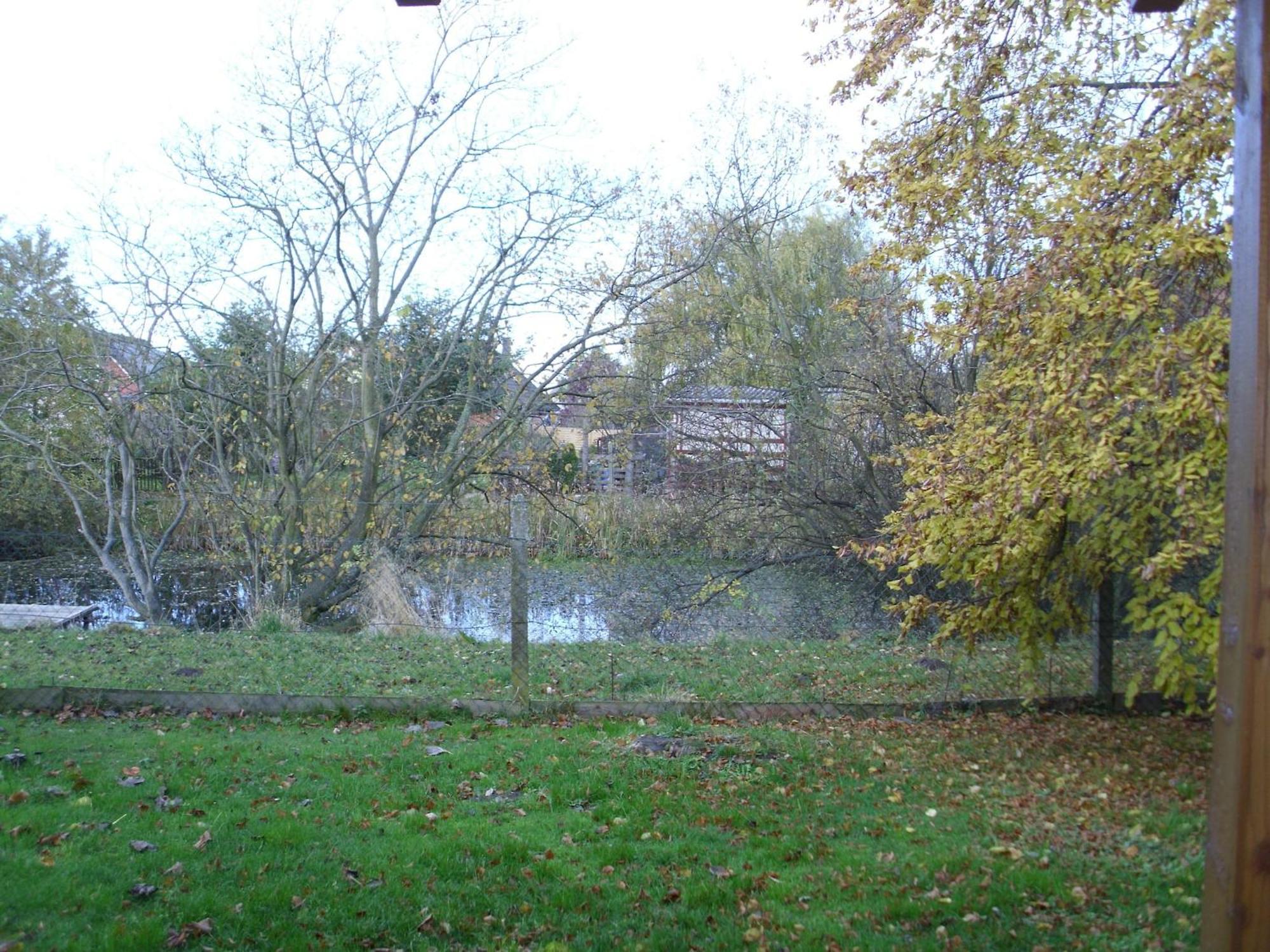 Child Friendly Bungalow In B Rgerende Rethwisch Börgerende-Rethwisch 外观 照片